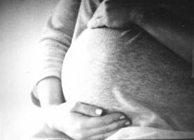 Didier FAES - DIDIER FAES