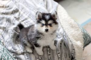 Alicia ROSE - ALICIA ROSE PHOTO