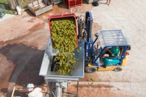 Yvan ARCHENAULT - Yvan ARCHENAULT Photographe