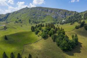 Yvan ARCHENAULT - Yvan ARCHENAULT Photographe